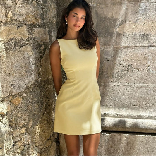 Summer Sleeveless Back Zipper Short Slim Fit Dress