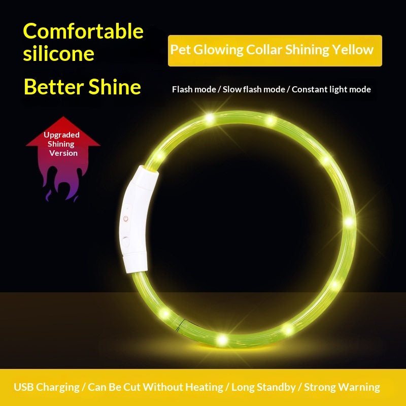 Nighttime Dog-Walking Pendant Light A Tiny Anti-Lost Accessory For Your Furry Friend