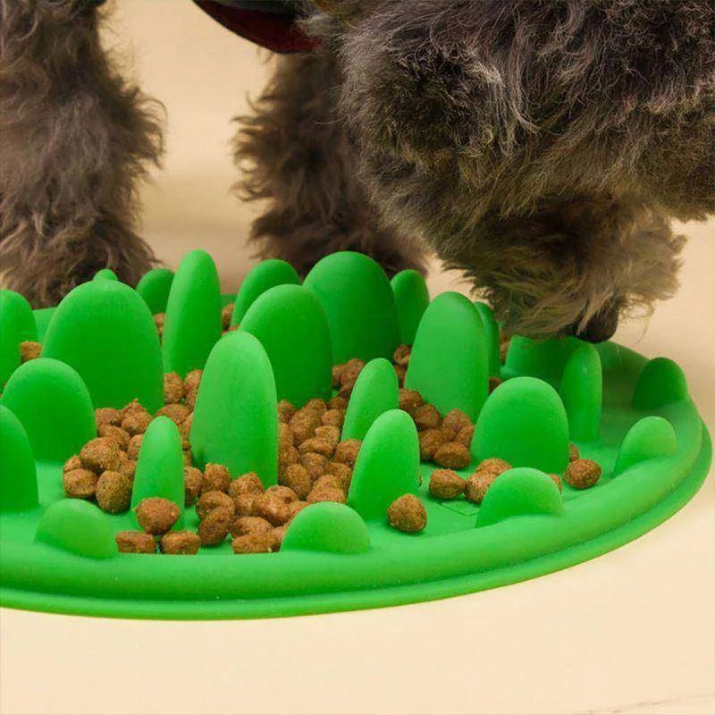 Silicone Slow Food Bowl