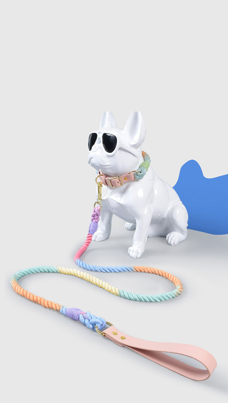 Rainbow Traction Rope Collar Adjustable Medium And Large Dog Outing Chain