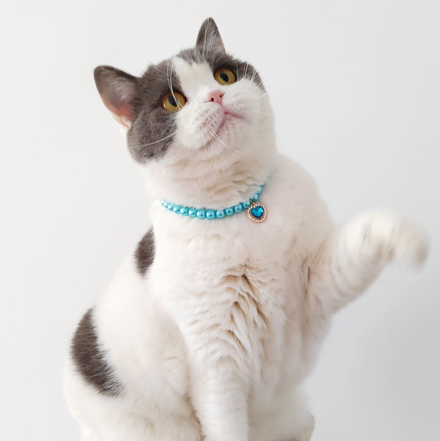 Pet Necklace Cat Pearl Pendant Colorful Gem