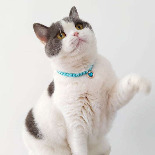 Pet Necklace Cat Pearl Pendant Colorful Gem