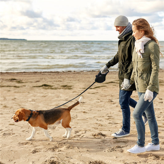 Outdoor Dog Walking Portable Three-in-one Kettle Hand Holding Rope
