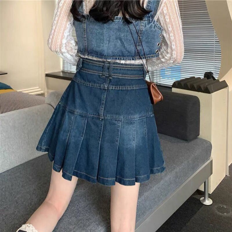 Plus-size High-waisted Figure-flattering A-line Pleated Skirt For Petite Women