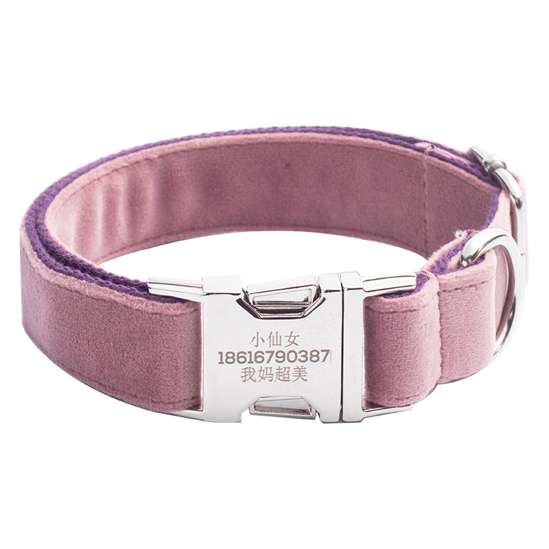 Pink dog collar