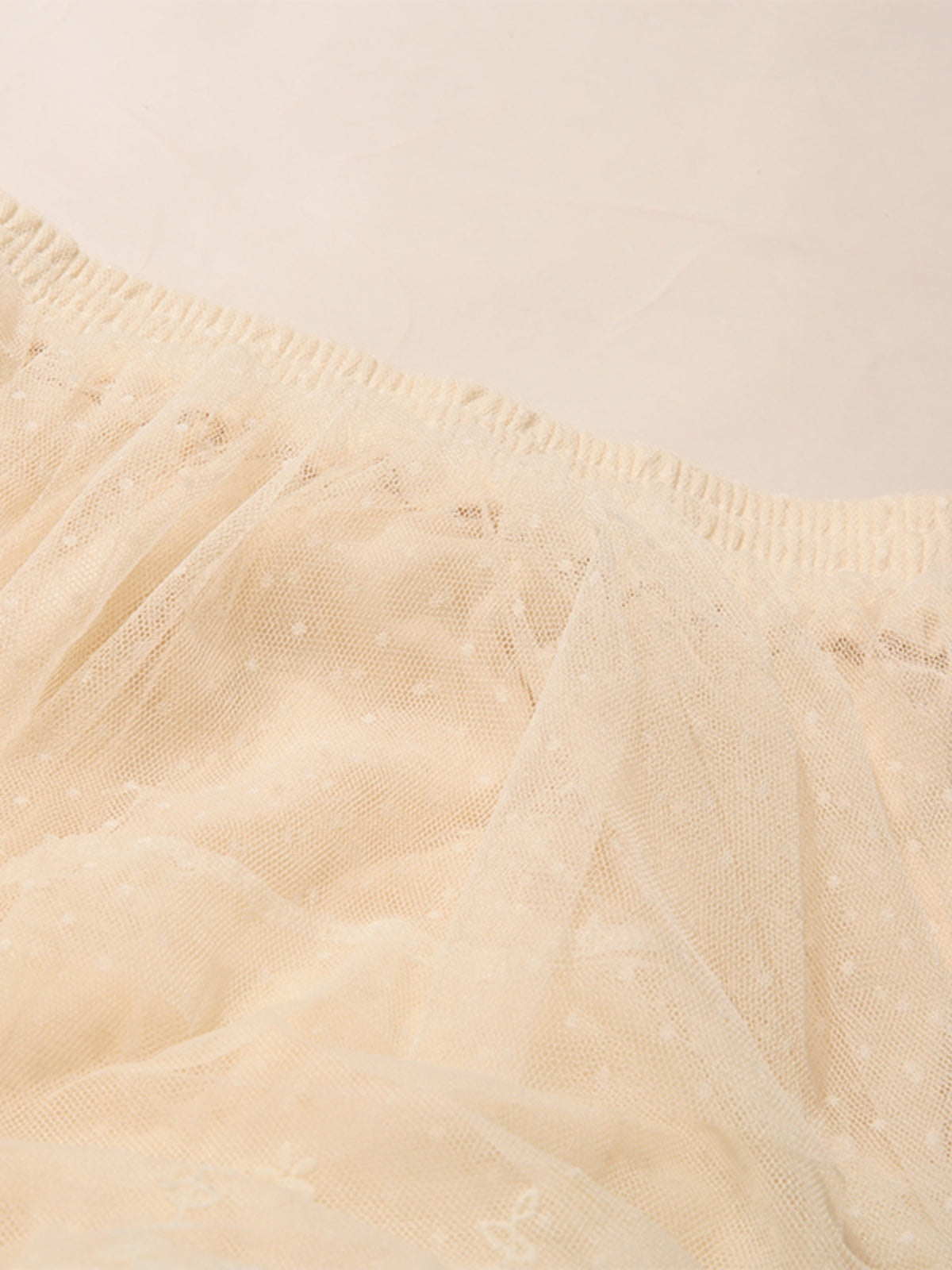 Embroidered Lace Mesh Skirt Cake A- Line Skirt