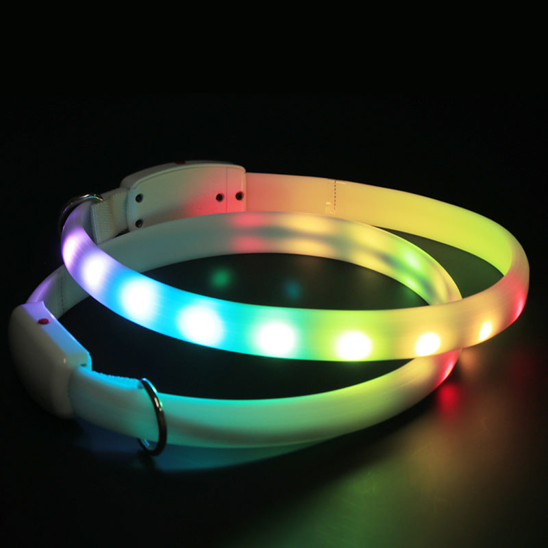 Genopladelig USB-halsbånd til kæledyr med LED-lys, selvlysende, blinkende, til udendørs gåture og nattesikkerhed