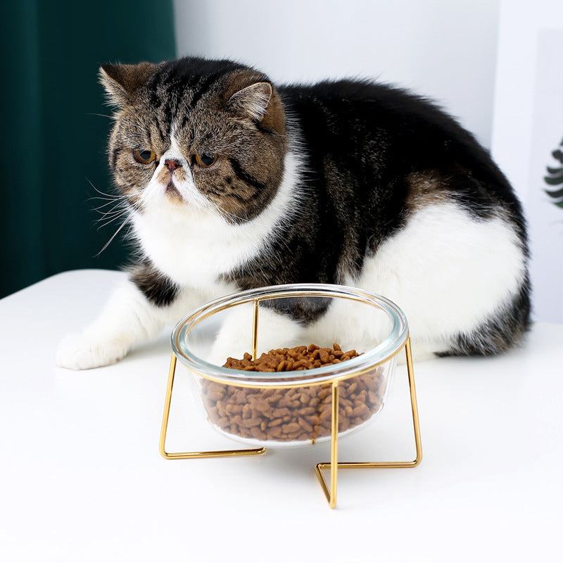 Tilt glass pet bowl