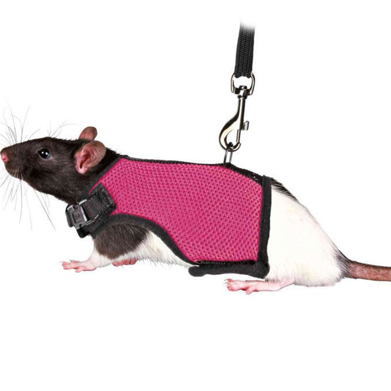 Bunny clothes leash