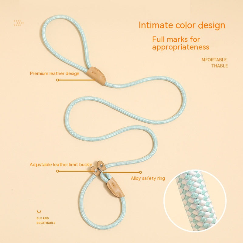 Household Dog Pet Hand Holding Rope