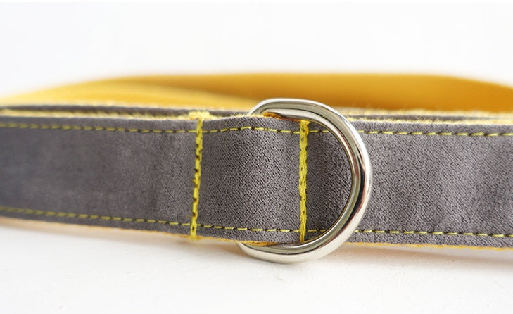 Mediumlarge Dog Traction Collar Traction Rope Set