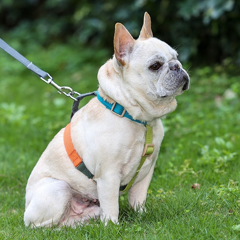 Fresh Six-color H-shaped PET's Chest-back