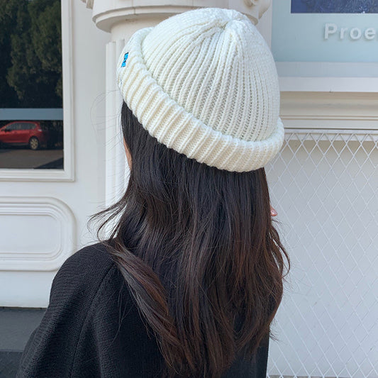 Autumn And Winter Black Melon Fur Wool Hat Men
