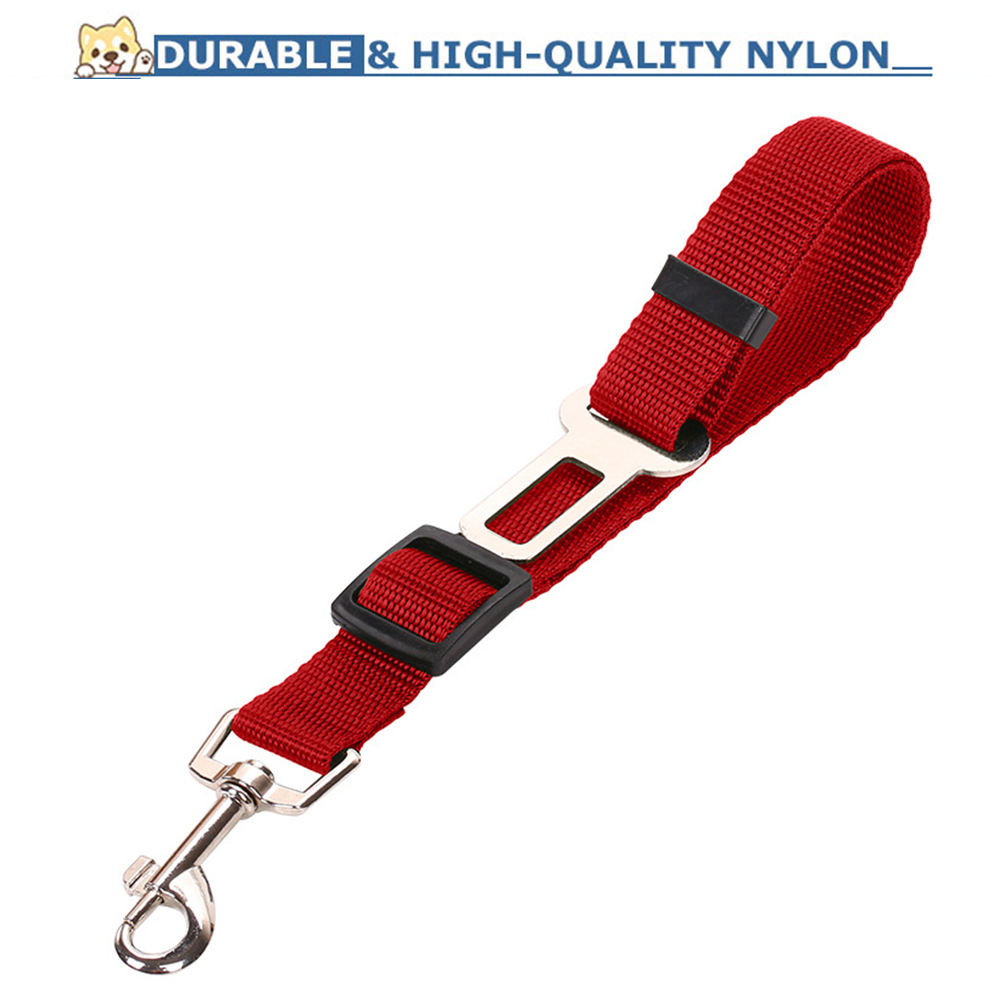 Seat Belts Dogs Car