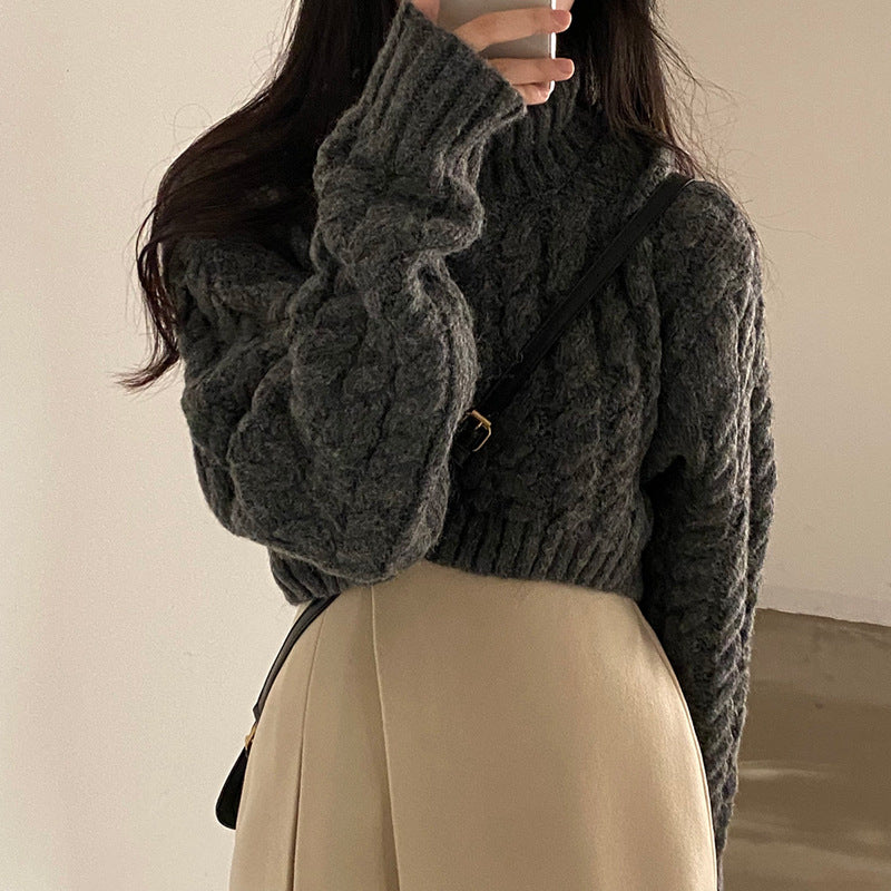 Autumn And Winter Turtleneck Extra Thick Warm Pullover Sweater Retro Twist