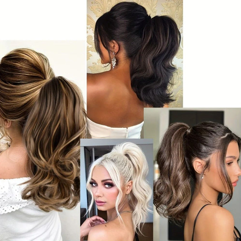 High Cranium Can Tie Ponytail Hairpin Back Head Shark Clip Ponytail Braid