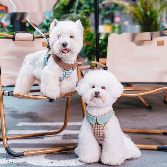 Fashion Small Vest Rope Dog Harness