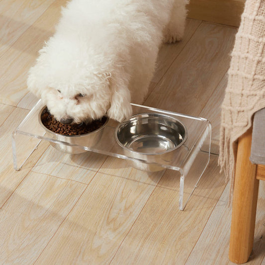 Pet Feeder Small Cat Dog Feeding Rack  Acrylic Dogs And Cats