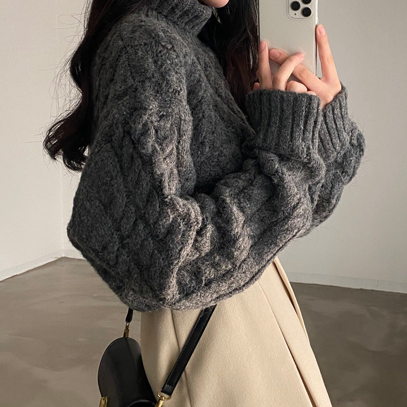 Autumn And Winter Turtleneck Extra Thick Warm Pullover Sweater Retro Twist