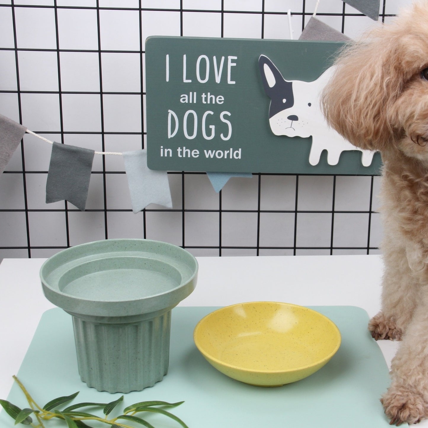 Pet Bowl Bamboo Fiber Three-in-one