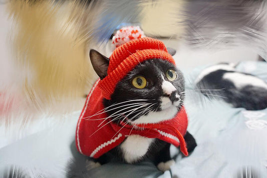 Red Festive Sweater Hat Christmas New Year Series
