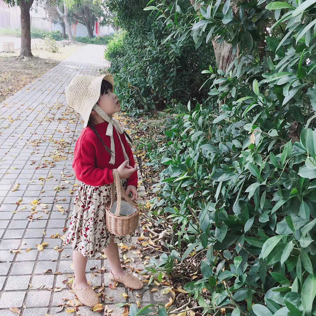 Summer Mini Rattan Bag Leisure Seaside Holiday
