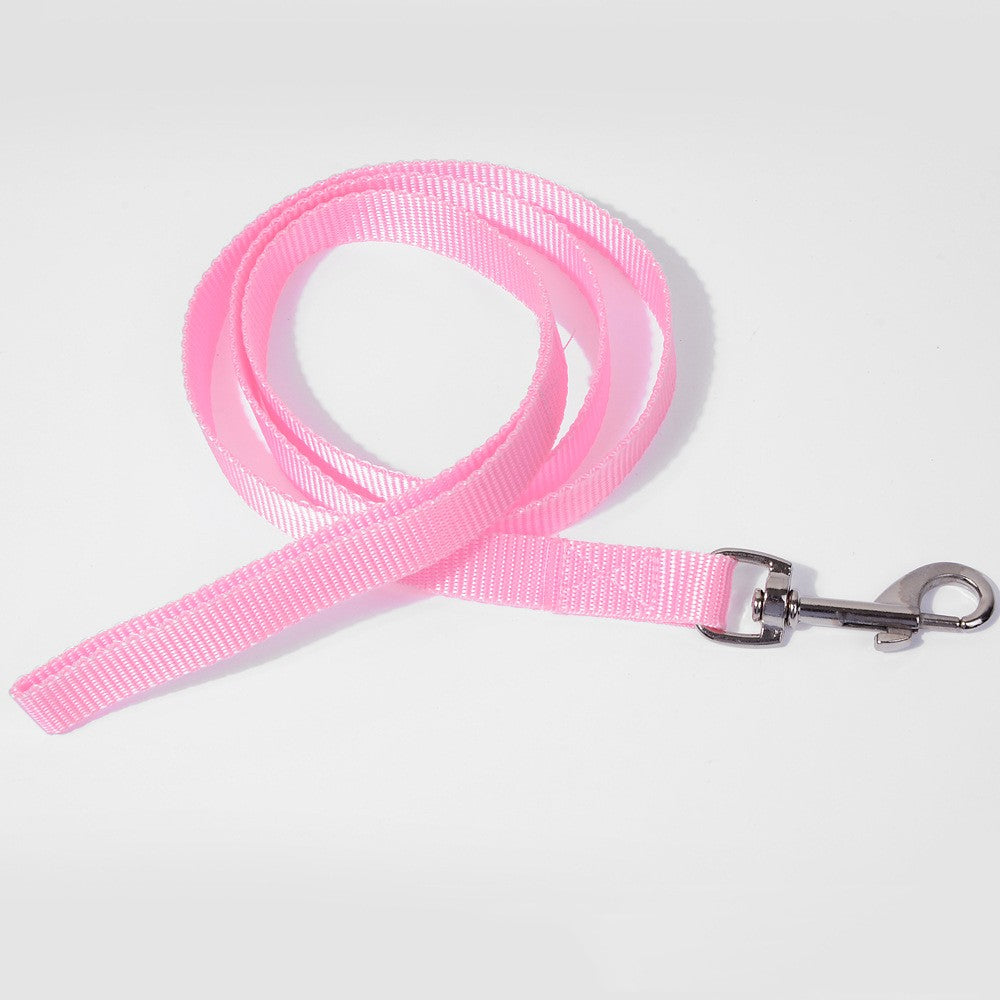 Pet Dog Hand Holding Rope Multicolor Colorful