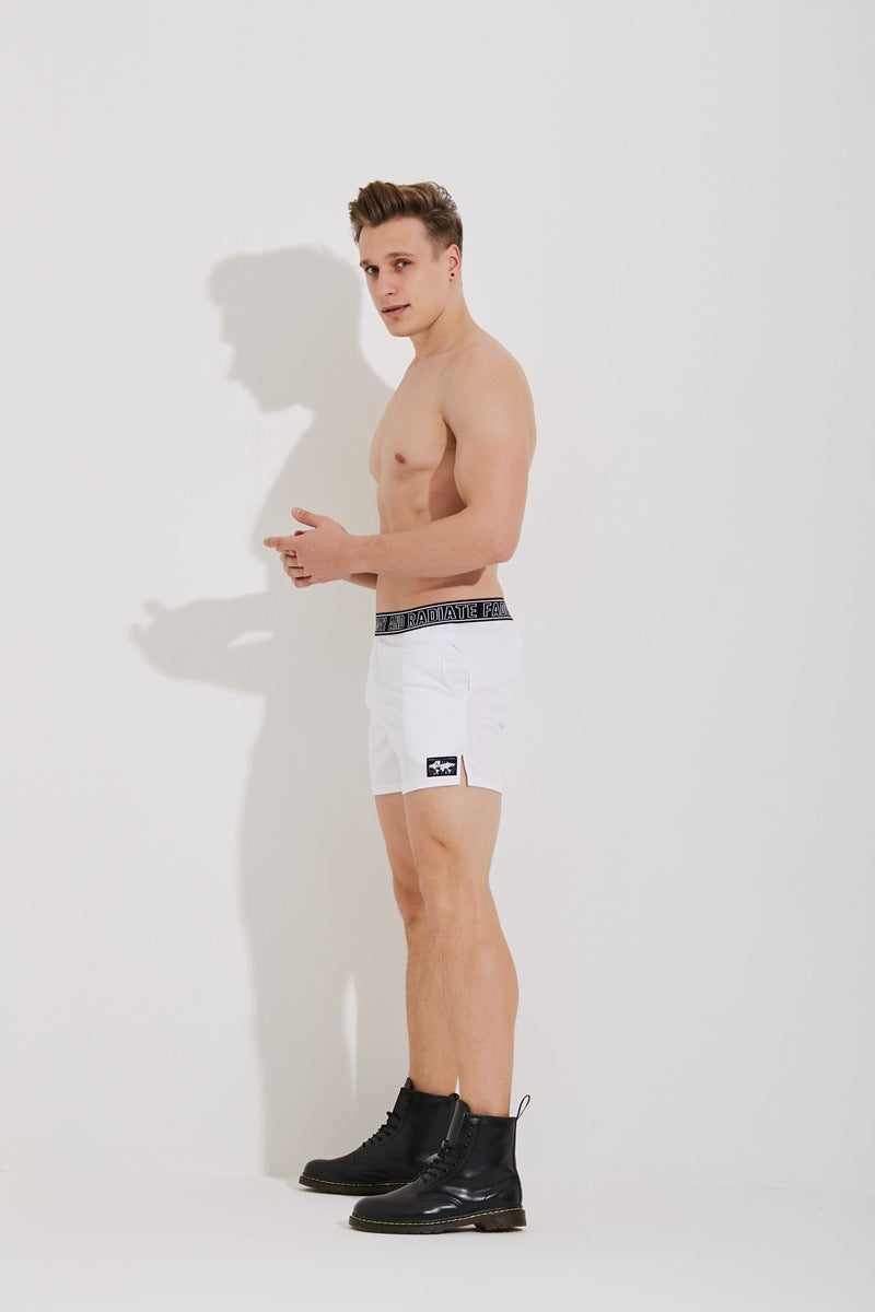 Sports Shorts Plus Size Quick-drying Beach Training Pant