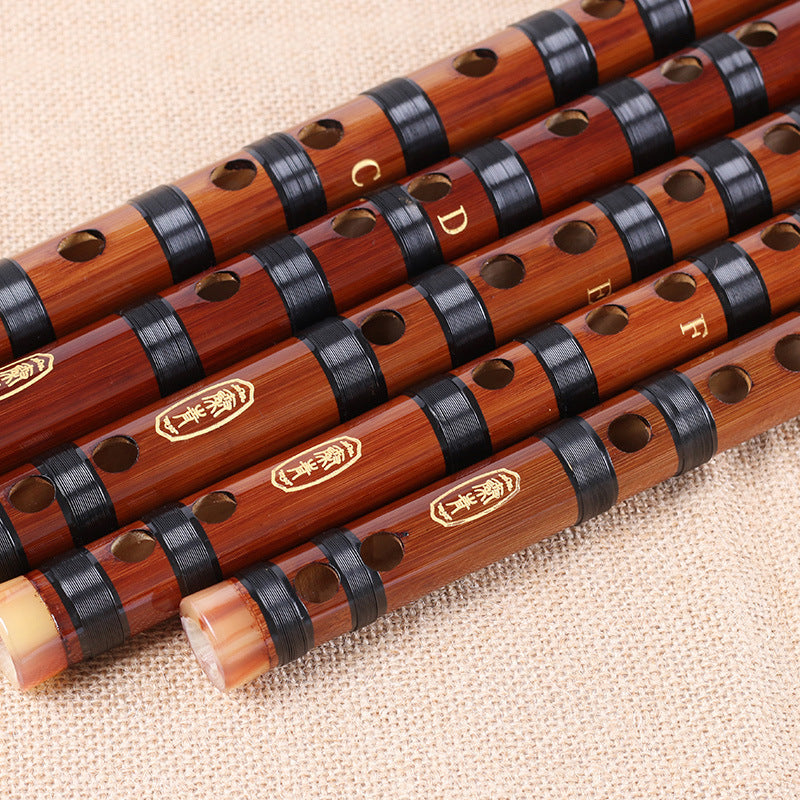 Single Plug Brass Two Segments Flute Beginner