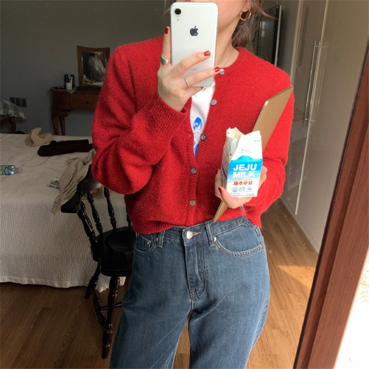 Raccoon Velvet Short Thickened Coat Cardigan Women's Design Sense Niche Small Wool Sweater