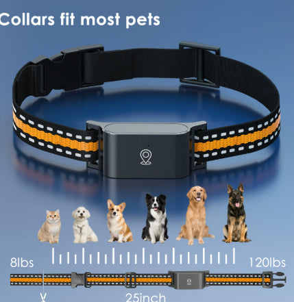 Pet Global Positioning Collar
