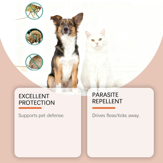 Flea And Tick Prevention Support Drops For Dogs And Cats