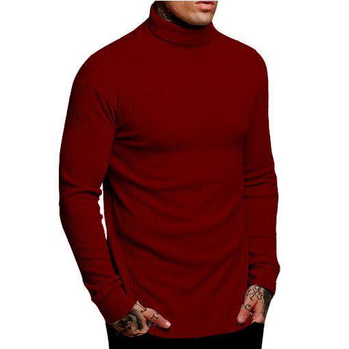 New Casual Men's Fashionable Solid Color High Neck Fried Dough Twist Stripe Knitwear