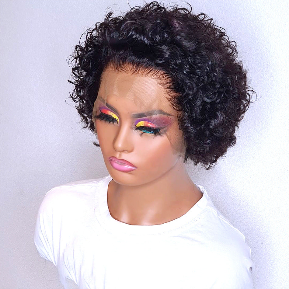 Daily Wear Black Wig Lace Hair Cover