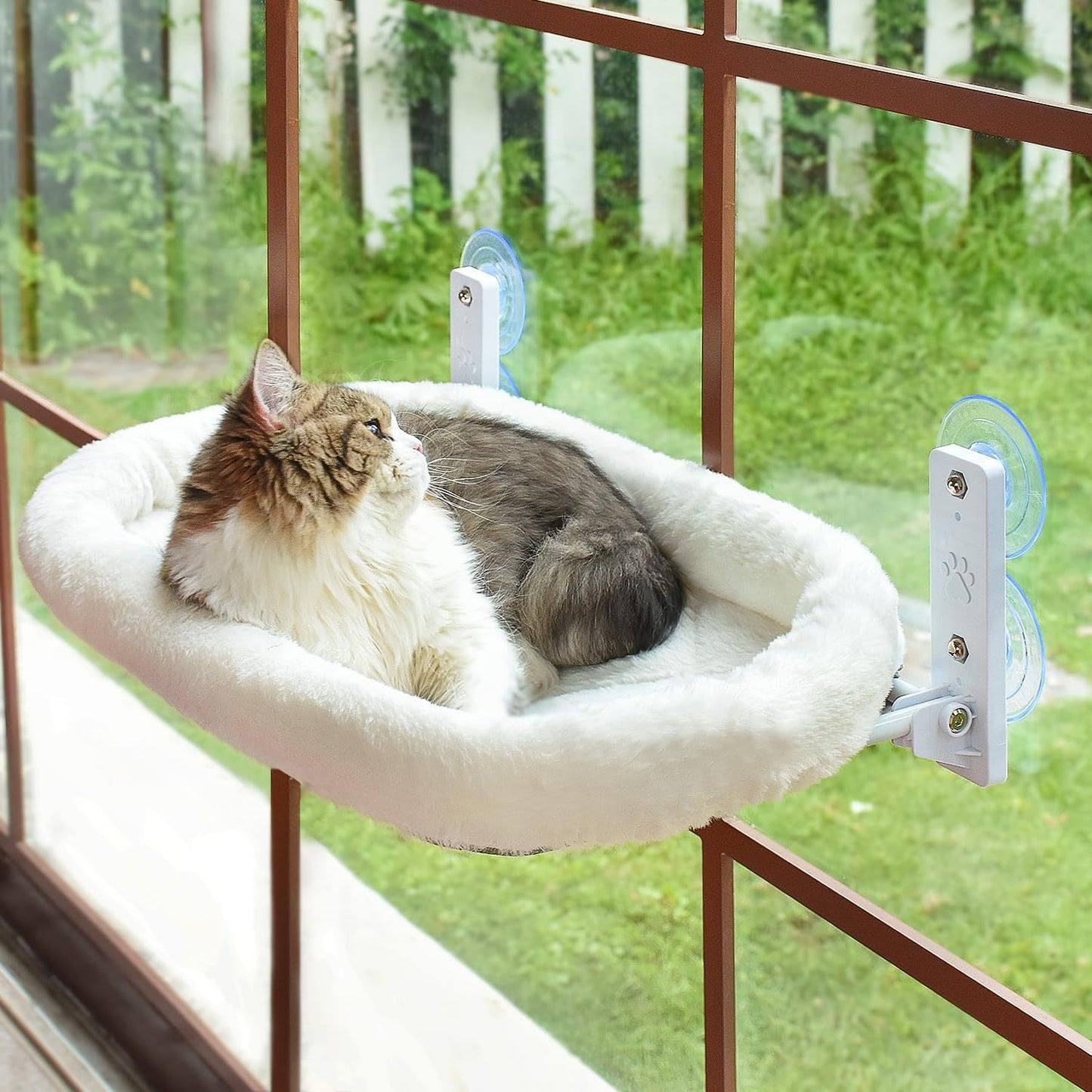 Cat Hammock Pet Cat Nest Balcony Glass