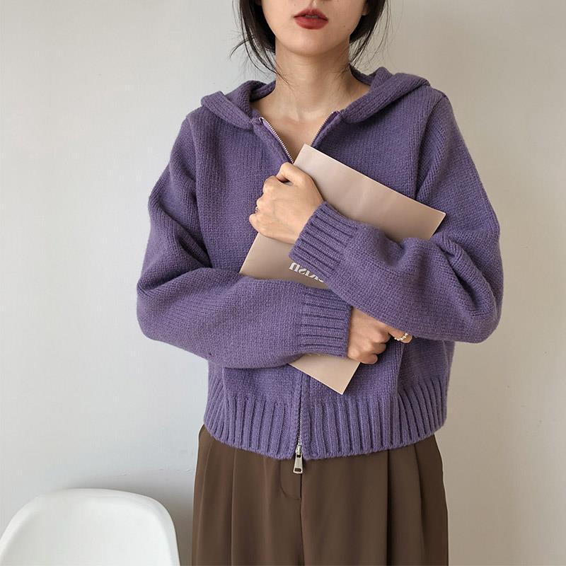 High-grade Korean Sweater For Women Padded Top Outer Wear