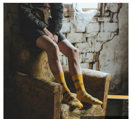 Retro Male Hip-hop Spring And Autumn Long Tube Street British Socks