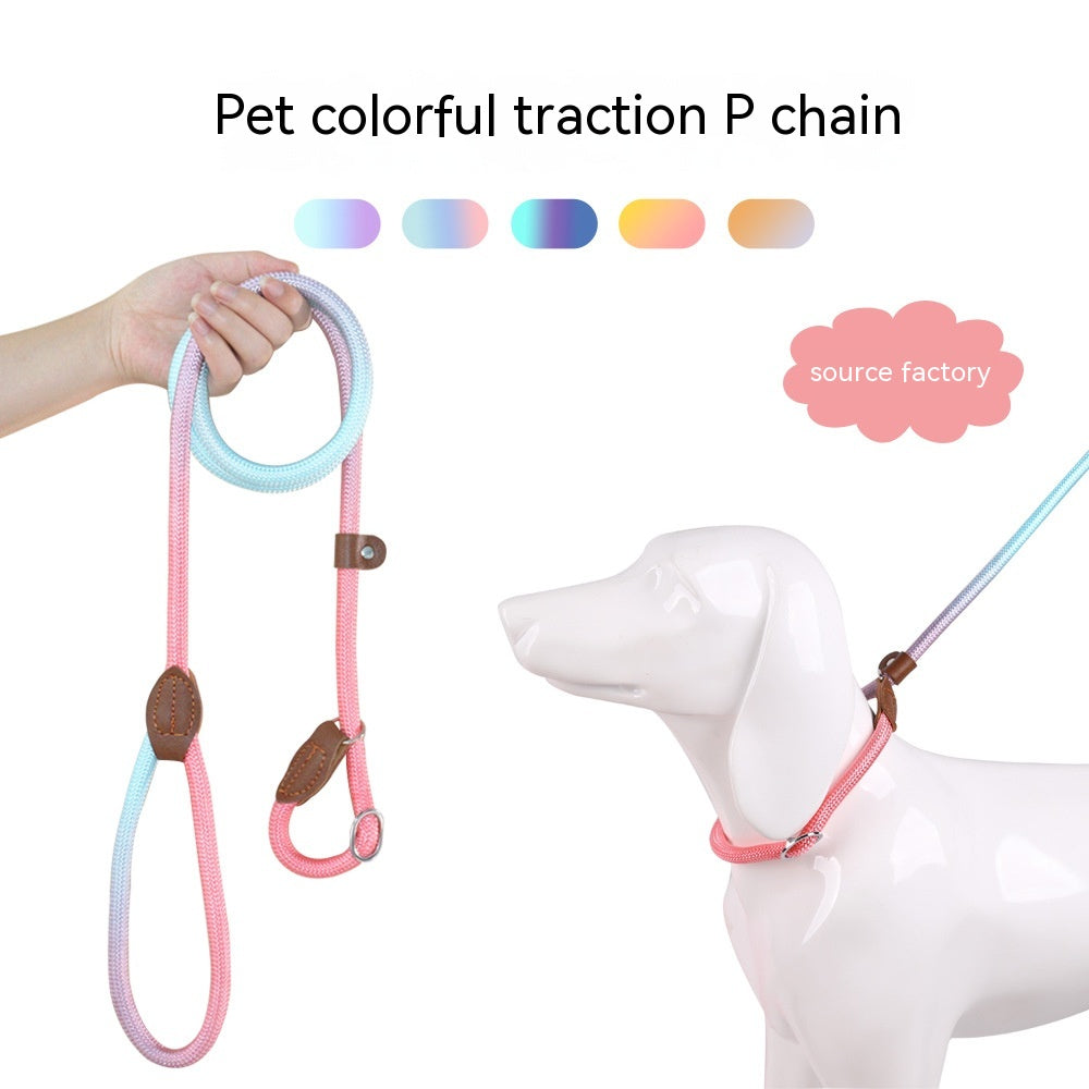 Colorful Durable Bold Nylon Pet Hand Holding Rope