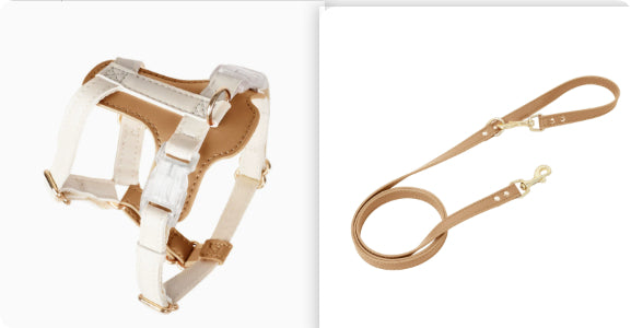 Dog And Cat Harnesses And Leashes For Walking