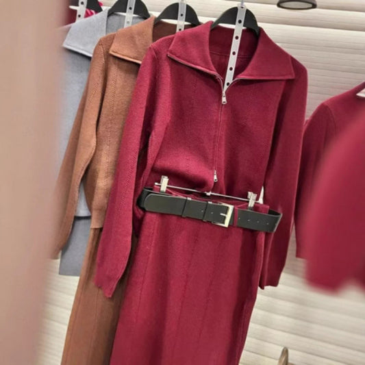 Solid-color Long-sleeve Zip-up Jacket And Skirt Fashion Set
