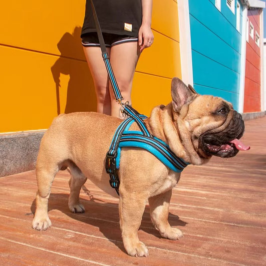 Dog Leash Vest-style Chest Harness
