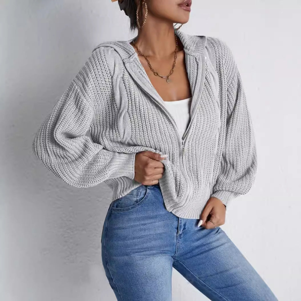Autumn And Winter Hooded Cardigan Knitted Waffle Sweater Top