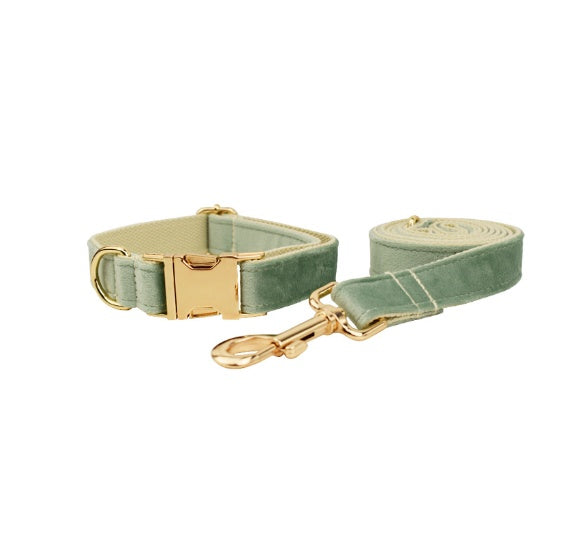 Velvet Pet Collar Traction Rope