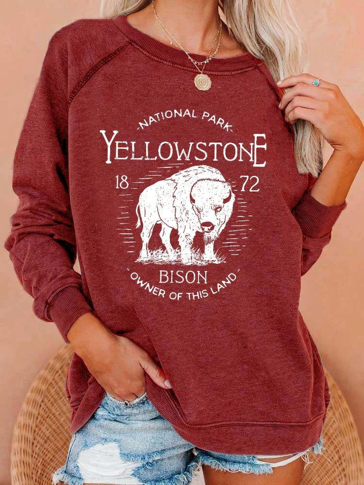 New European And American Personalized Elements Women's Sweater