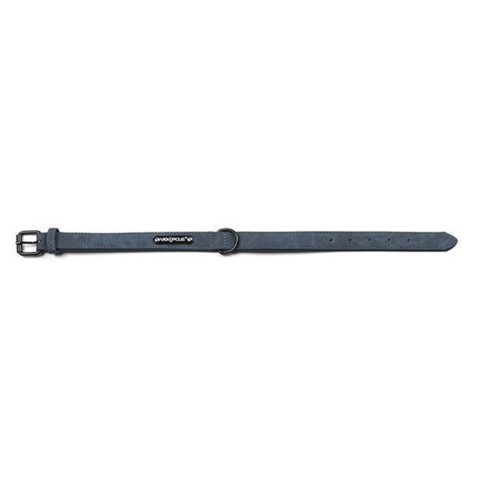 Matte Anti Lost Dog Collar