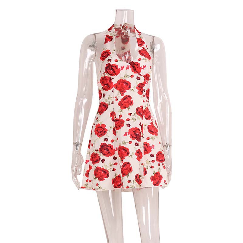 Fashionable Halterneck Backless Dress With A Rose Print