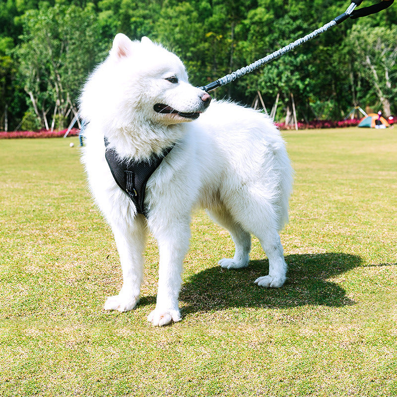 Bianmu Golden Retriever Medium Dog Walking Rope