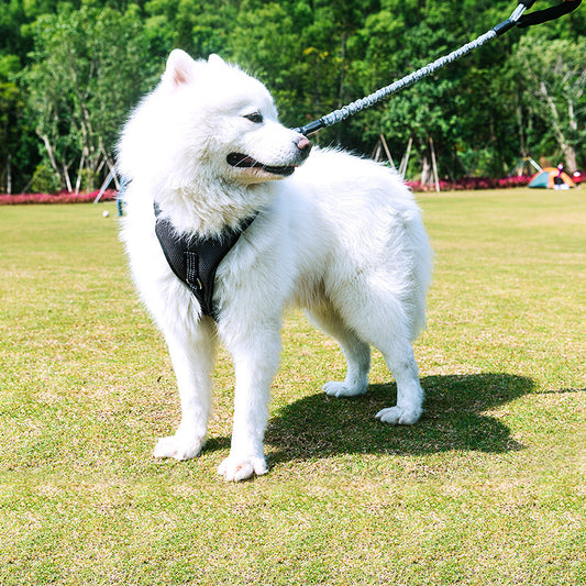 Bianmu Golden Retriever Medium Dog Walking Rope