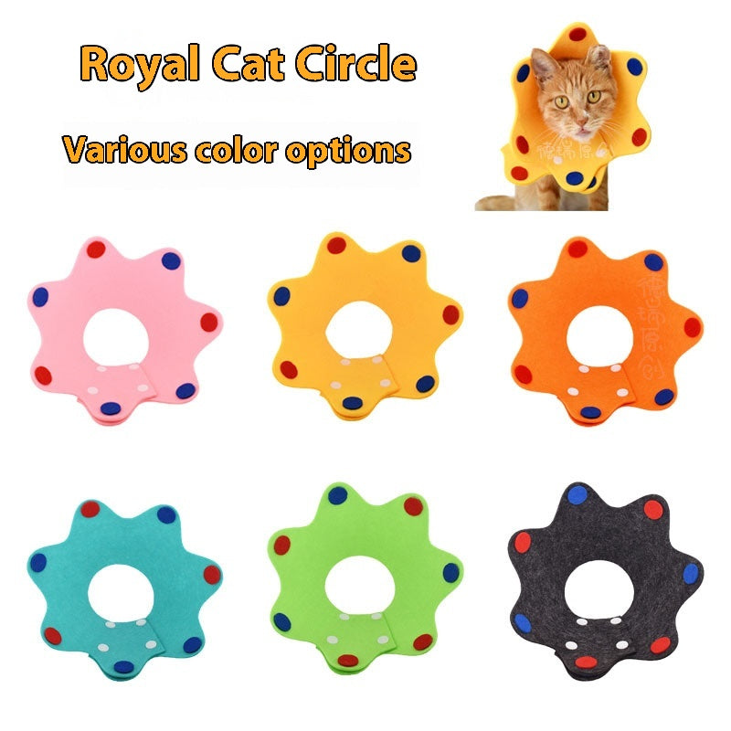 Cat Lightweight Postoperative Recovery Adjustable Collar