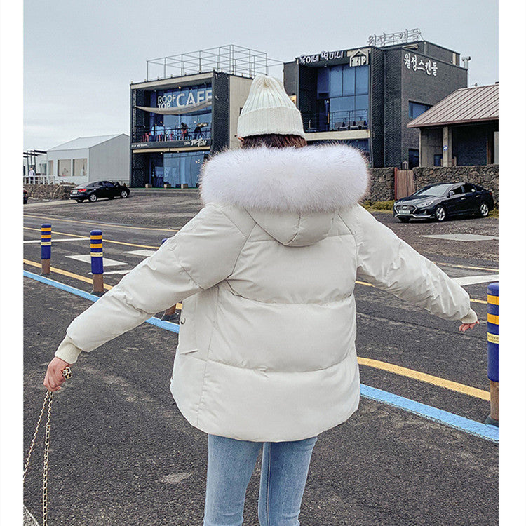 New Autumn Winter Coat Women's Top Down Cotton-padded Jacket